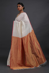 Cream And Gold Tissue SareeIMG_4082