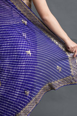 Violet Lahariya Gotta Work SareeIMG_4099