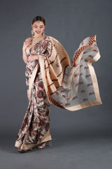 Chandan Anardana Organza SareeIMG_4011