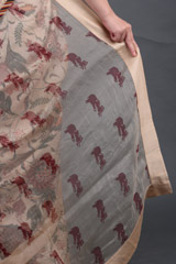 Chandan Anardana Organza SareeIMG_4015