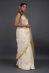 Vertical Maullavalli Pallu sareeIMG_3555