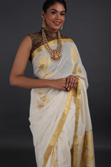 Vertical Maullavalli Pallu sareeIMG_3573