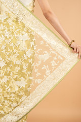 Lime Yellow SareeDSC03963