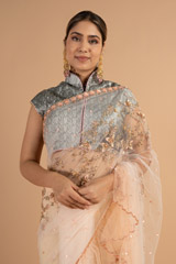 Peach Net SareeDSC00934