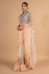 Peach Net SareeDSC00936