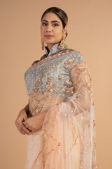 Peach Net SareeDSC00937