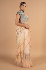 Peach Net SareeDSC00939