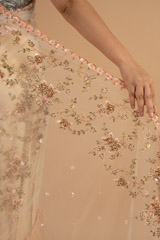 Peach Net SareeDSC00940