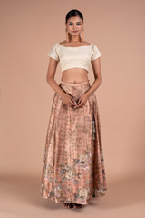 Crop top And Panelled Skirt Set
