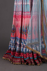 Blue Panel Anarkali SetIMG_4268