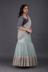Blue Embellished Saree GownIMG_5163