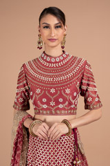 Red Embellished Saree GownDSC07603