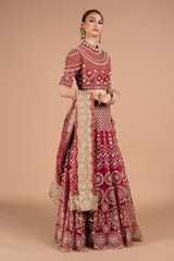 Red Embellished Saree GownDSC07610