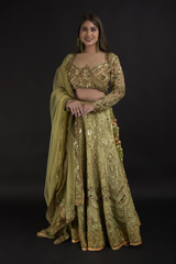 Green Chanderi Gota Lehenga Set_DTR1319