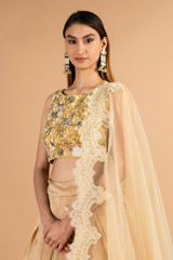Handwoven Nude Chanderi LehengaDSC09875
