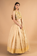 Handwoven Nude Chanderi LehengaDSC09877