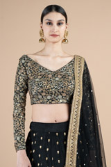Black And Gold LehengaDSC09948