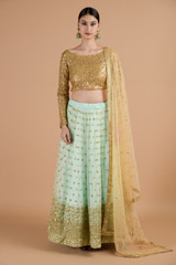 Cadet Blue Net Lehenga_DTR4508-1
