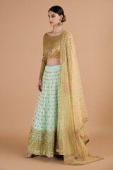Cadet Blue Net Lehenga_DTR4510