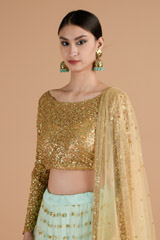 Cadet Blue Net Lehenga_DTR4511