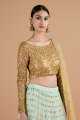 Cadet Blue Net Lehenga_DTR4512