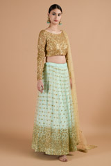 Cadet Blue Net Lehenga_DTR4514