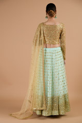Cadet Blue Net Lehenga_DTR4516-1