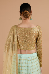 Cadet Blue Net Lehenga_DTR4517