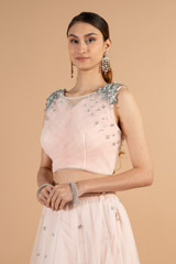 Blush Pink Net Top Bottom SetDSC01198