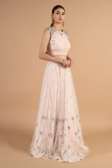 Blush Pink Net Top Bottom SetDSC01200