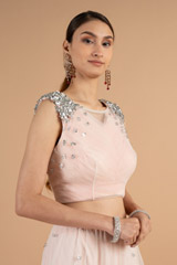 Blush Pink Net Top Bottom SetDSC01201