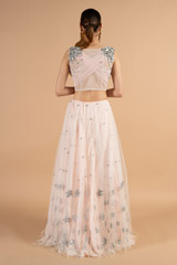 Blush Pink Net Top Bottom SetDSC01202