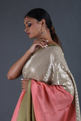 Pink Habotai Silk SareeIMG_9413