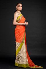 Orange Chantilly Lace Saree_DSC4619-Edit