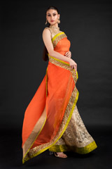 Orange Chantilly Lace Saree_DSC4622-Edit
