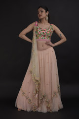 Coral Net Embellished Lehenga_DTR0599