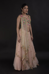 Coral Net Embellished Lehenga_DTR0603