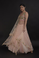 Coral Net Embellished Lehenga_DTR0606