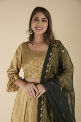 Golden Embroidered Lehenga Set_DTR1167