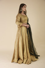 Golden Embroidered Lehenga Set_DTR1172