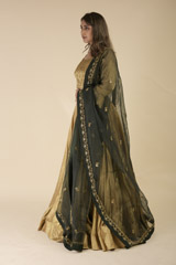 Golden Embroidered Lehenga Set_DTR1176
