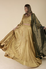 Golden Embroidered Lehenga Set_DTR1178