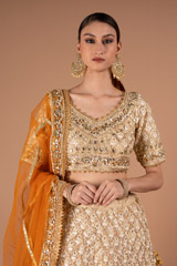 Beige Embellished Lehenga SetDSC00780