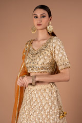 Beige Embellished Lehenga SetDSC00781