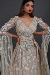 Beige Statement Sleeves GownIMG_6180