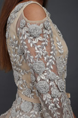 Beige Statement Sleeves GownIMG_6186