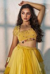 Yellow Lehenga set9