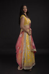 Yellow Gota Embroidered Lehenga Set_SUB8258