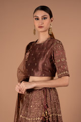 Brown Lehenga SetDSC00759