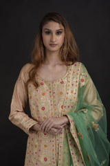 Beige Silk Lehenga Set_DTR0899